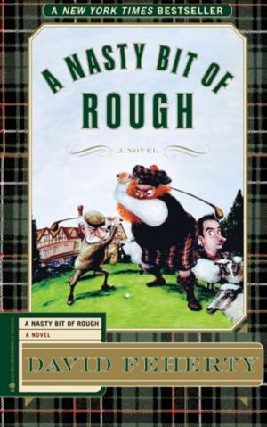 Cover of the book A Nasty Bit of Rough by Dave Goossen