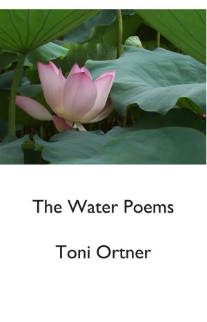 Book cover of The Water Poems