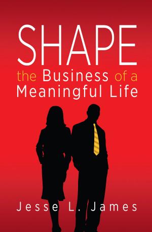 Book cover of Shape: The Business of a Meaningful Life