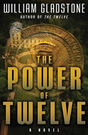 Book cover of The Power of Twelve