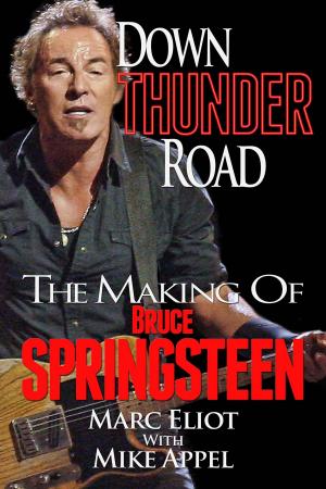 Cover of the book Down Thunder Road: The Making of Bruce Springsteen by Bette Bao Lord