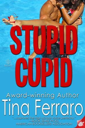 Book cover of Stupid Cupid