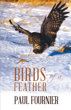 Cover of the book Birds of a Feather by Jakob Crane