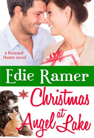 Cover of the book Christmas at Angel Lake by Edie Ramer