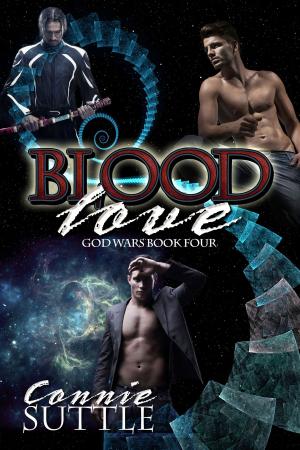 Cover of the book Blood Love by J.L. Hammer