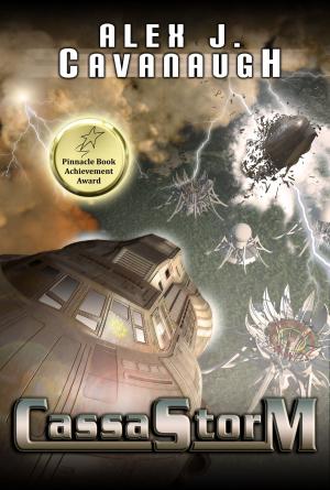 Cover of the book CassaStorm by C. Lee McKenzie