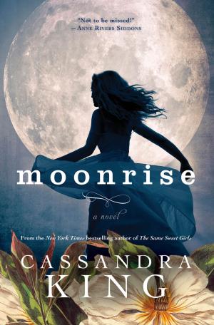 Cover of the book Moonrise by Rachel Ellyn