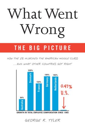 bigCover of the book What Went Wrong: The Big Picture by 