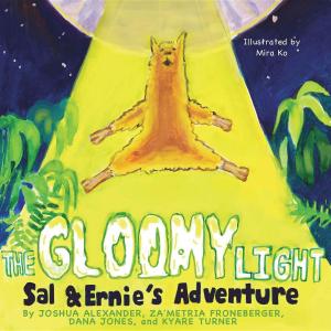 Book cover of The Gloomy Light