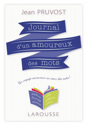 Cover of the book Journal d'un amoureux des mots by Catherine Delvaux
