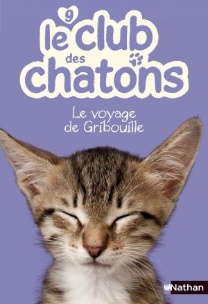 Cover of the book Le voyage de Gribouille by Stéphanie Benson
