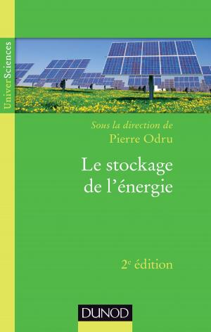 Cover of the book Le stockage de l'énergie - 2e édition by Florence Allard-Poesi