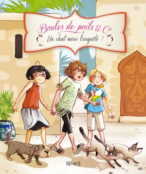 Cover of the book Un chat mène l'enquête ! by Juliette Parachini-Deny, Olivier Dupin
