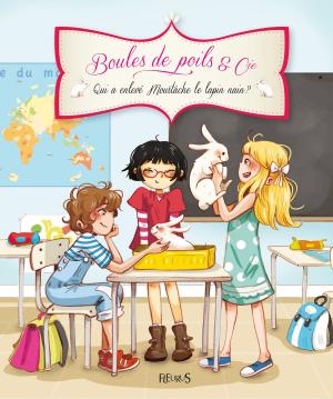 Cover of the book Qui a enlevé Moustache le lapin nain ? by Nathalie Bélineau, Émilie Beaumont