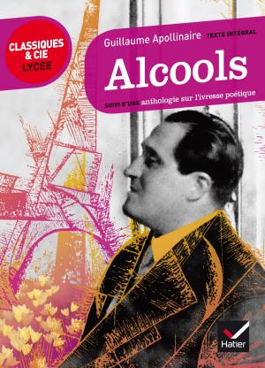 Cover of the book Alcools by Roland Charnay, Pascal Hervé