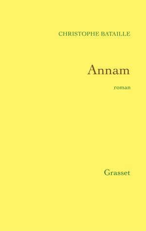 Book cover of Annam
