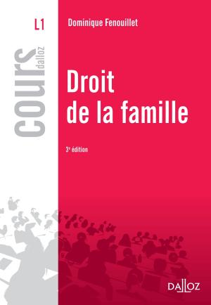 Cover of the book Droit de la famille by Bastien François