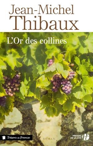 Book cover of L'Or des collines