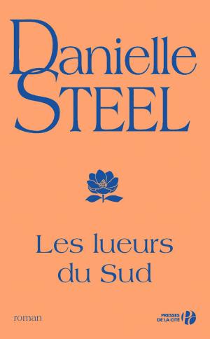 Book cover of Les Lueurs du Sud
