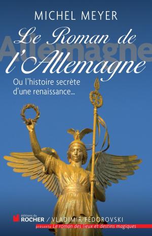 Book cover of Le roman de l'Allemagne