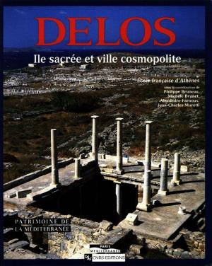 Cover of the book Délos by Régis Darques