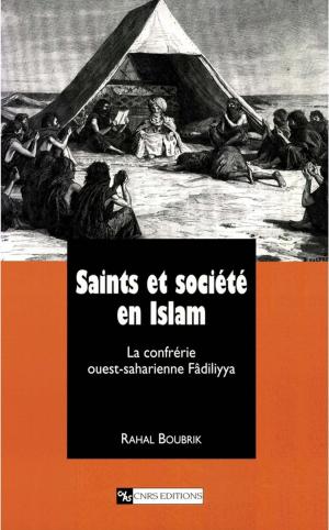 Cover of the book Saints et société en Islam by Collectif