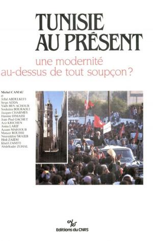 Cover of the book Tunisie au présent by Collectif