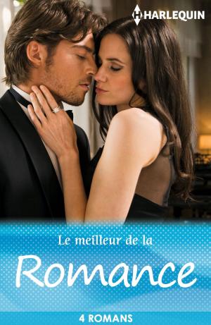 Book cover of Le meilleur de la romance