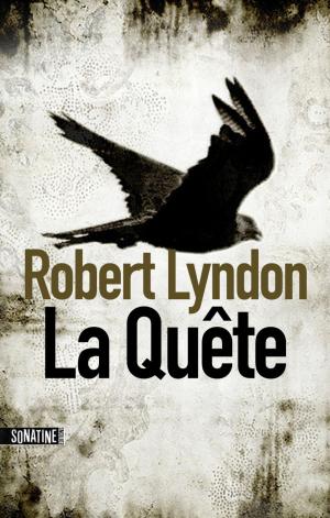 Book cover of La quête