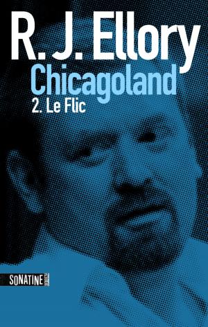 Book cover of Trois jours à Chicagoland - le flic