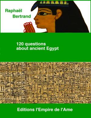 Cover of the book 120 questions about ancient Egypt by Jean-Marie Michel