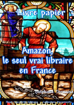 Cover of the book Livre papier : Amazon, le seul vrai libraire en France by M.D. Massey