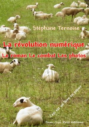 Cover of the book La révolution numérique : Le roman Le combat Les photos by Thomas de Terneuve