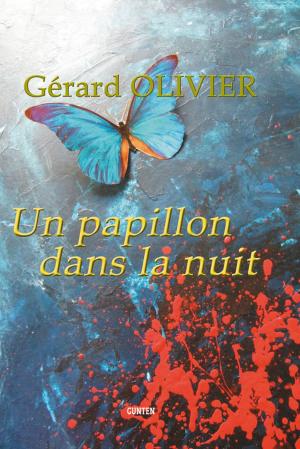 Cover of the book Un papillon dans la nuit by Caroline Pivert