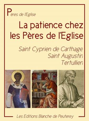 Cover of the book La patience chez les Pères by Saint Augustin