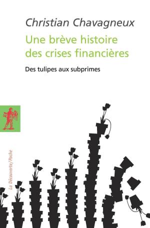 Cover of the book Une brève histoire des crises financières by Pierre LÉVY
