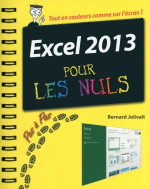 Book cover of Excel 2013 Pas à pas Pour les Nuls