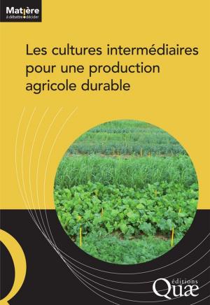 Book cover of Les cultures intermédiaires pour une production agricole durable