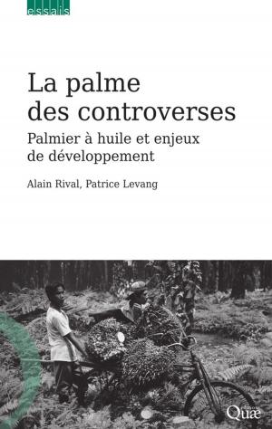 Cover of the book La palme des controverses by Sylvie Huet, Emmanuel Jolivet, Antoine Messéan