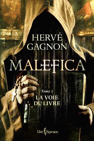 Cover of the book Malefica, tome 1 by Louise Simard