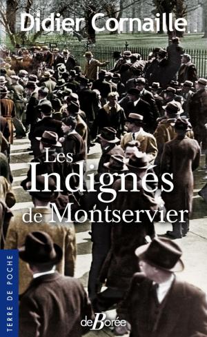 Cover of the book Les Indignés de Montservier by Michel Verrier