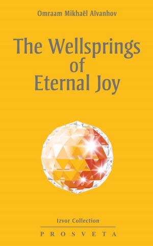 Cover of the book The wellsprings of eternal joy by Omraam Mikhaël Aïvanhov