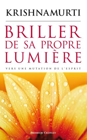 Cover of the book Briller de sa propre lumière by Bernard Baudouin