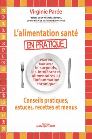 bigCover of the book L'alimentation santé en pratique by 