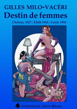 Cover of the book Destin de femmes by Lilou, P. Minette, Monsieur Noir, Palaume