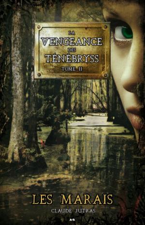 Cover of the book Les marais by Amanda Hocking