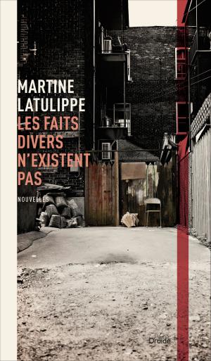 Cover of the book Les faits divers n'existent pas by Martin Robitaille