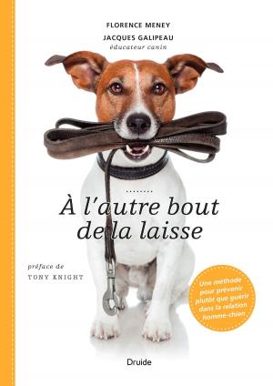 Cover of the book À l'autre bout de la laisse by Maryse Pagé