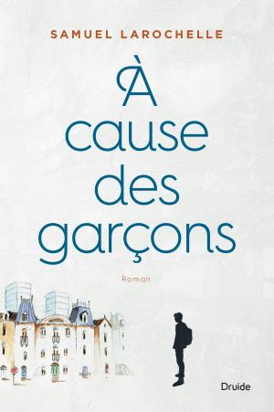 Cover of the book À cause des garçons by François Leblanc