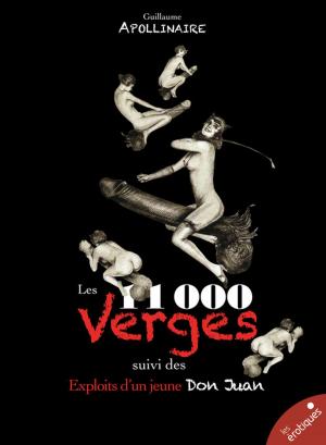 Cover of the book Les Onze mille verges by Alphonse Momas